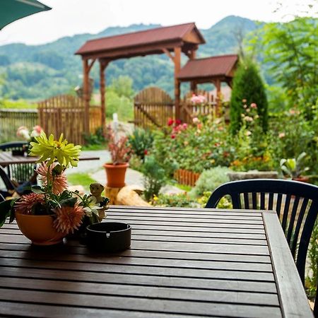 Pension Agnes Vişeu de Sus Eksteriør bilde